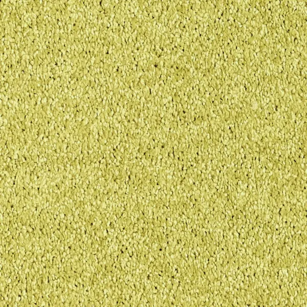 Vorwerk Luana Teppichboden hellgrün – rechteckige Draufsicht